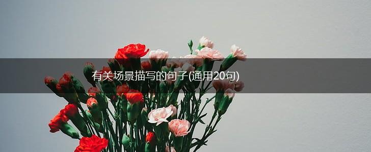 有关场景描写的句子(通用20句),第1张