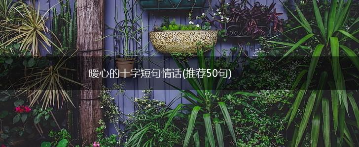 暖心的十字短句情话(推荐50句),第1张