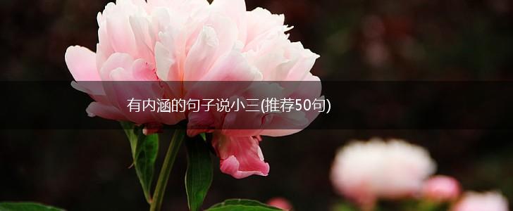 有内涵的句子说小三(推荐50句),第1张