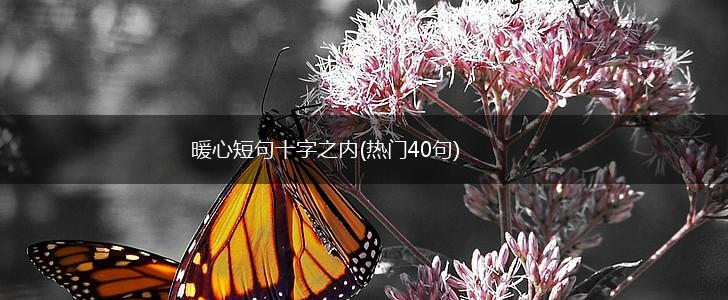 暖心短句十字之内(热门40句),第1张