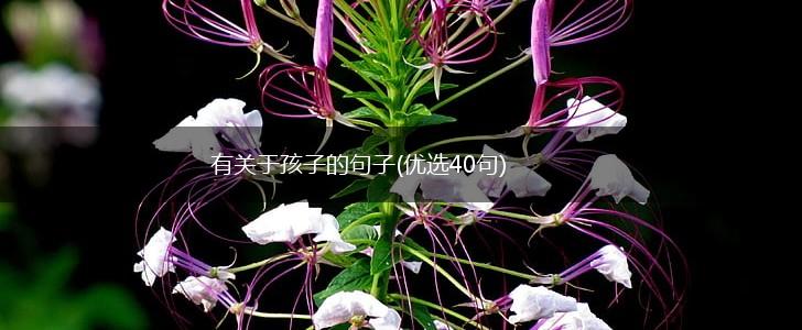 有关于孩子的句子(优选40句),第1张