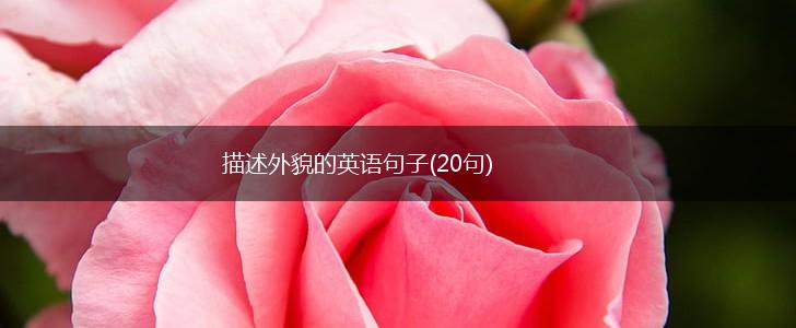 描述外貌的英语句子(20句),第1张