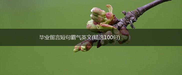 毕业留言短句霸气英文(精选100句),第1张