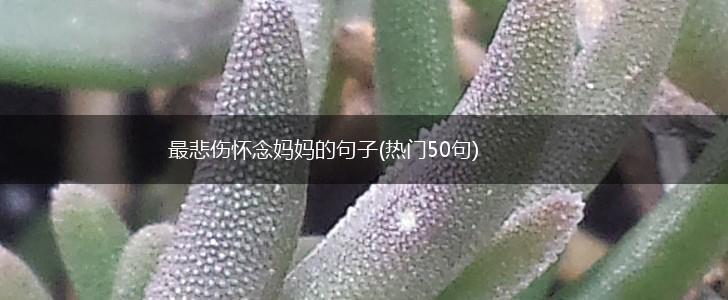 最悲伤怀念妈妈的句子(热门50句),第1张