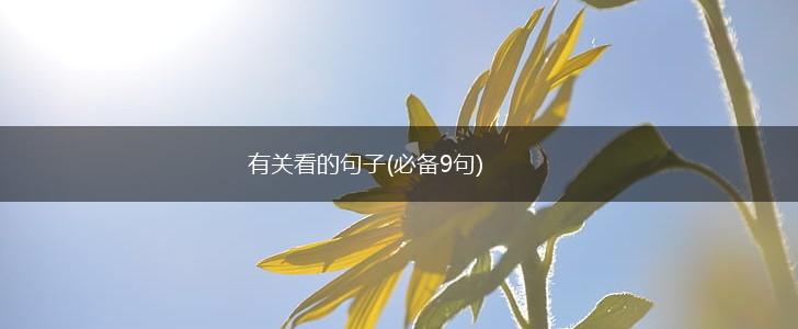 有关看的句子(必备9句),第1张