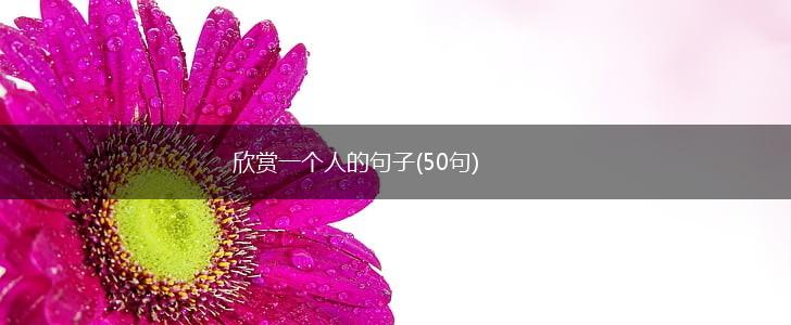 欣赏一个人的句子(50句),第1张