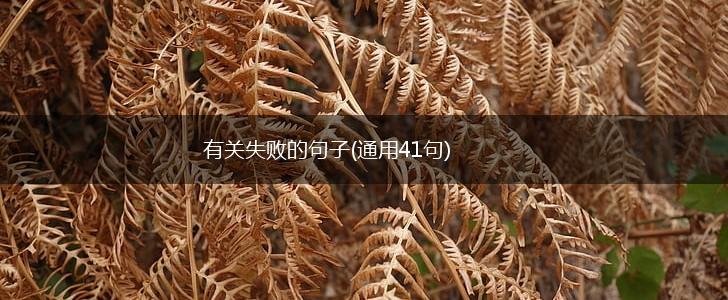 有关失败的句子(通用41句),第1张