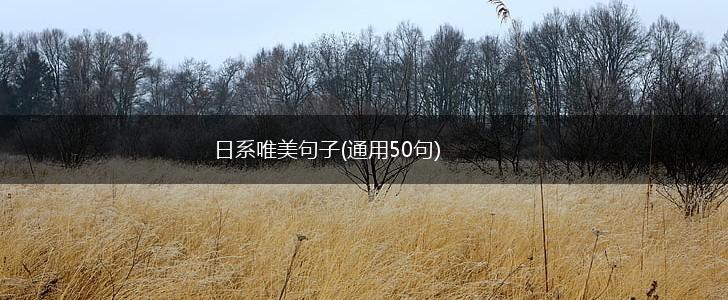 日系唯美句子(通用50句),第1张