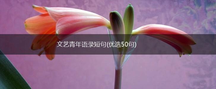 文艺青年语录短句(优选50句),第1张