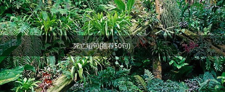 死亡短句(推荐50句),第1张