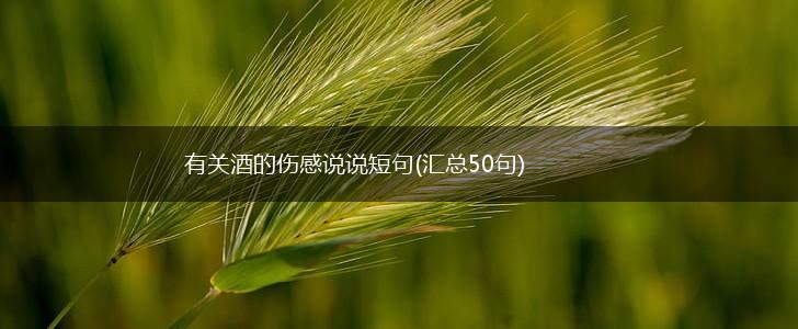 有关酒的伤感说说短句(汇总50句),第1张