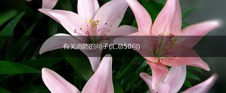 有关消防的句子(汇总50句),第1张