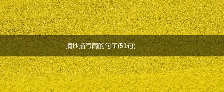 摘抄描写雨的句子(51句),第1张