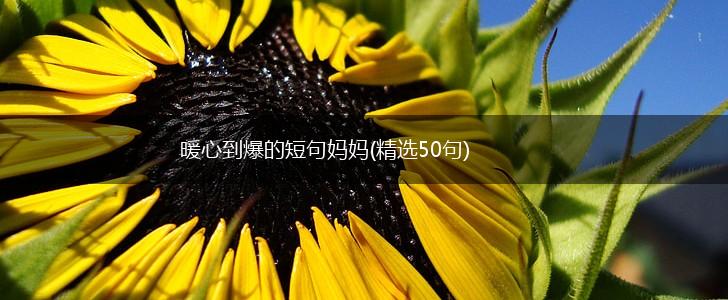 暖心到爆的短句妈妈(精选50句),第1张