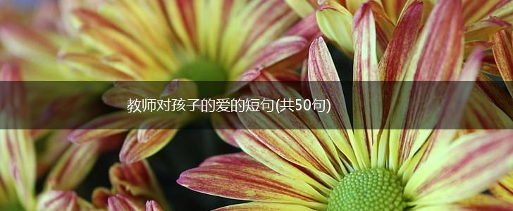 教师对孩子的爱的短句(共50句),第1张