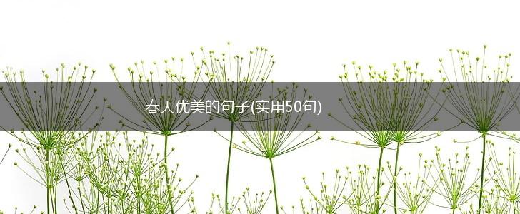 春天优美的句子(实用50句),第1张