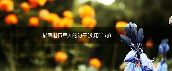 描写退伍军人的句子(实用11句),第1张