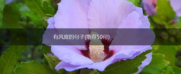 有风度的句子(推荐50句),第1张