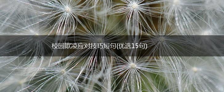 校园欺凌应对技巧短句(优选15句),第1张