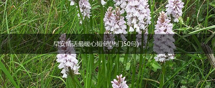 早安情话最暖心短句(热门50句),第1张