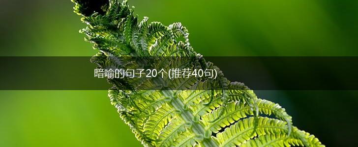 暗喻的句子20个(推荐40句),第1张