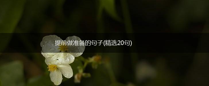 提前做准备的句子(精选20句),第1张