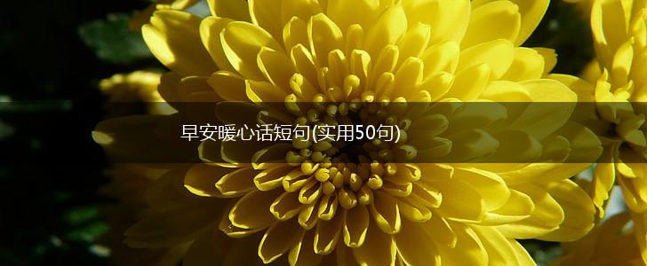 早安暖心话短句(实用50句),第1张
