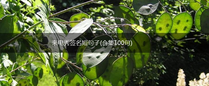 来电秀签名短句子(合集100句),第1张