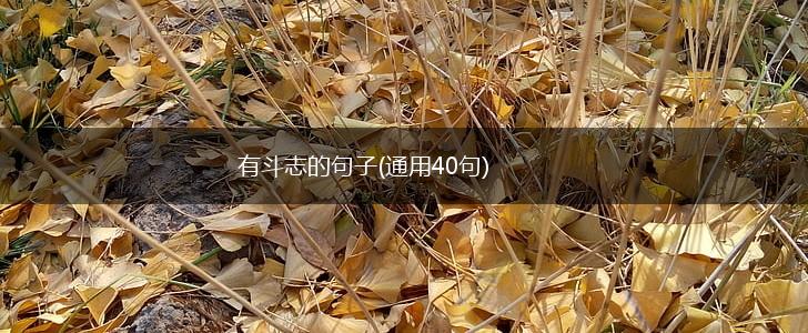 有斗志的句子(通用40句),第1张
