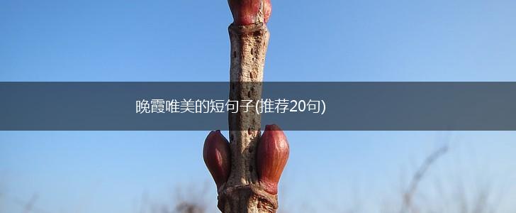 晚霞唯美的短句子(推荐20句),第1张