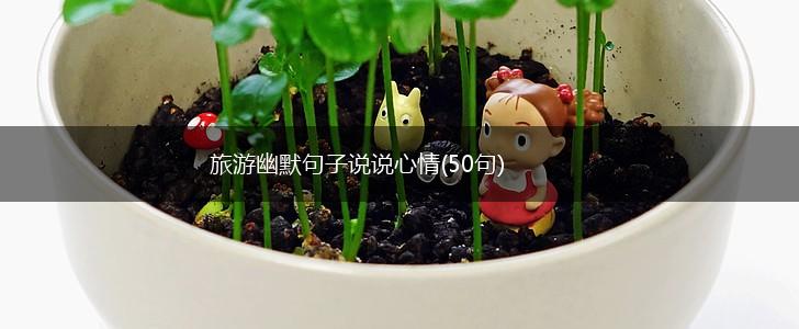 旅游幽默句子说说心情(50句),第1张