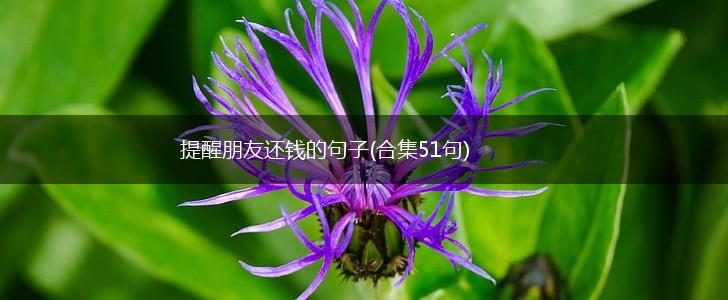 提醒朋友还钱的句子(合集51句),第1张 提醒朋友还钱的句子(合集51句),第1张