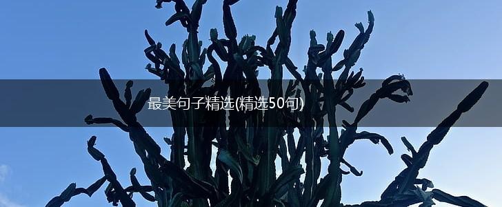最美句子精选(精选50句),第1张