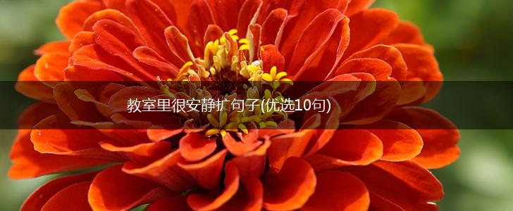 教室里很安静扩句子(优选10句),第1张