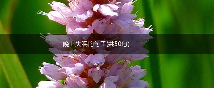 晚上失眠的句子(共50句),第1张