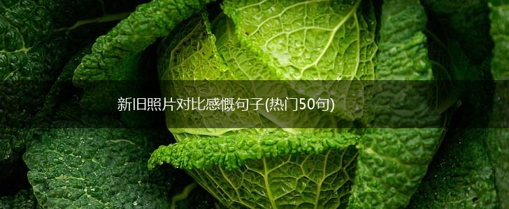 新旧照片对比感慨句子(热门50句),第1张
