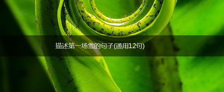 描述第一场雪的句子(通用12句),第1张 描述第一场雪的句子(通用12句),第1张