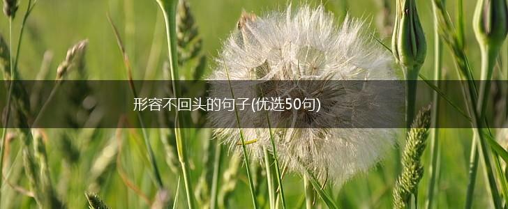 形容不回头的句子(优选50句),第1张