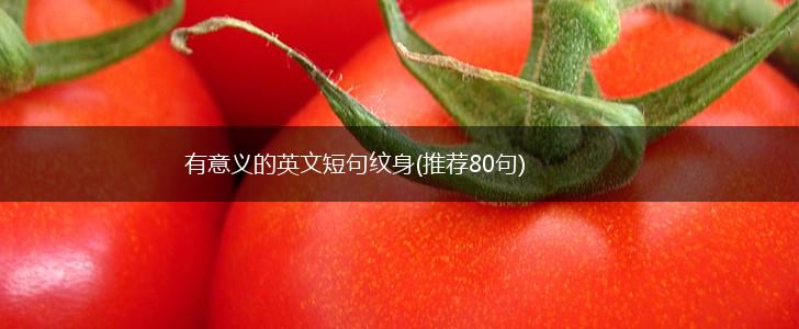 有意义的英文短句纹身(推荐80句),第1张