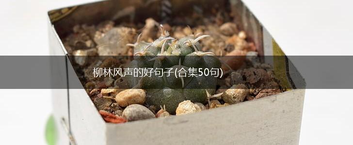 柳林风声的好句子(合集50句),第1张