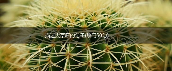 描述大草原的句子(热门50句),第1张 描述大草原的句子(热门50句),第1张