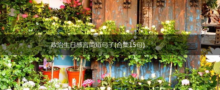 政治生日感言简短句子(合集15句),第1张