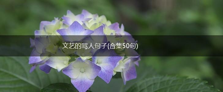 文艺的骂人句子(合集50句),第1张