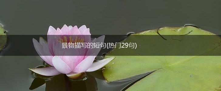 景物描写的短句(热门29句),第1张