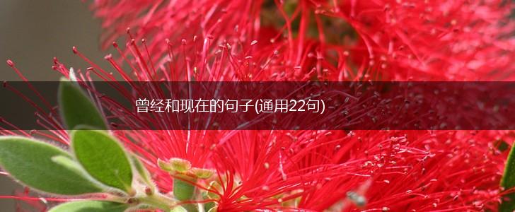 曾经和现在的句子(通用22句),第1张