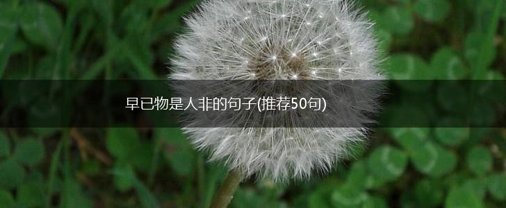 早已物是人非的句子(推荐50句),第1张