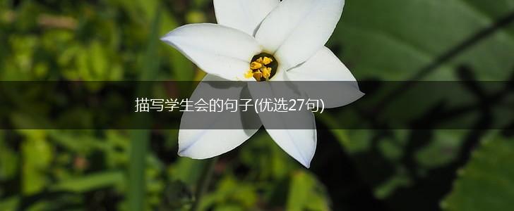 描写学生会的句子(优选27句),第1张
