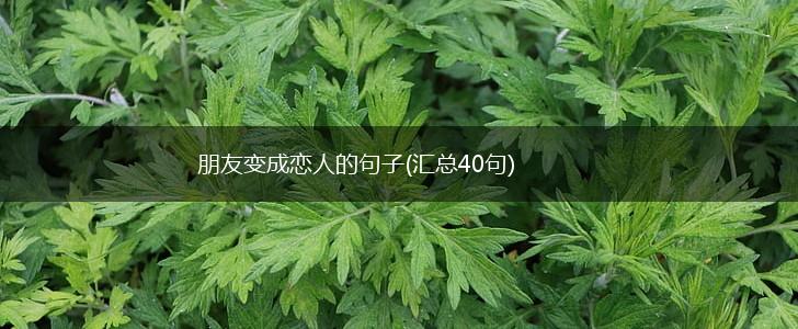 朋友变成恋人的句子(汇总40句),第1张