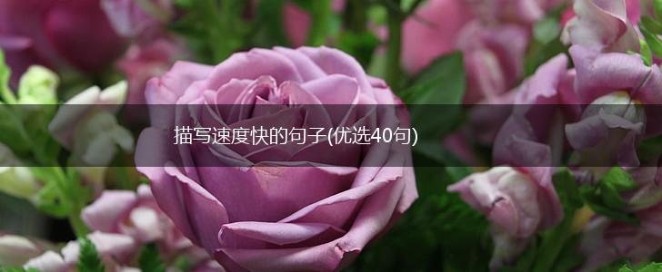 描写速度快的句子(优选40句),第1张 描写速度快的句子(优选40句),第1张