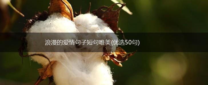 浪漫的爱情句子短句唯美(优选50句),第1张